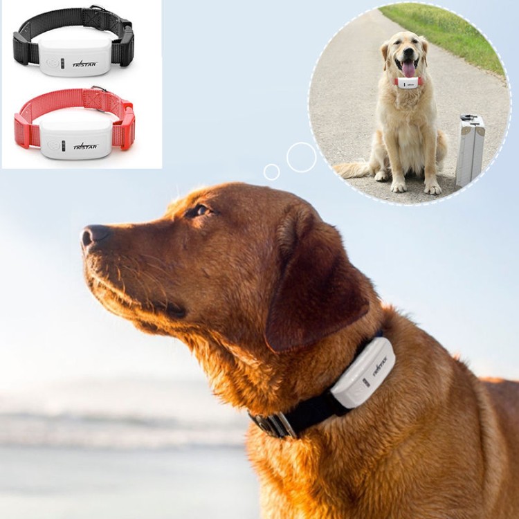 GPS GSM Pet Tracker εντοπισμού σε πραγματικό χρόνο