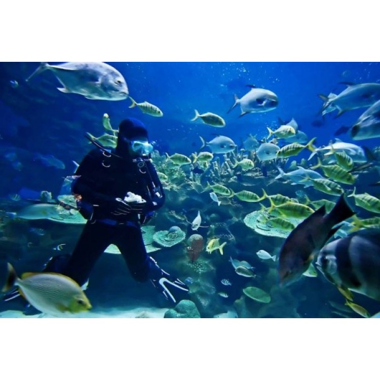 Φακός καταδύσεως Cree Led Q5 Diving 80-100m