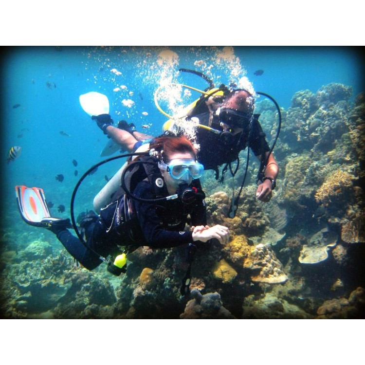 Φακός καταδύσεως Cree Led Q5 Diving 80-100m