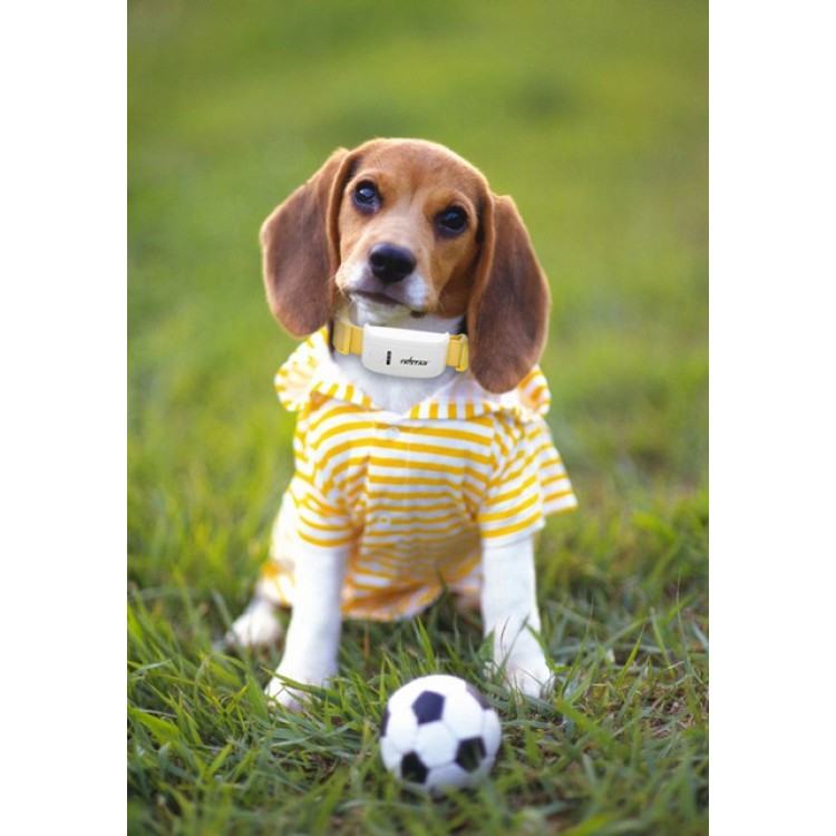 GPS GSM Pet Tracker εντοπισμού σε πραγματικό χρόνο