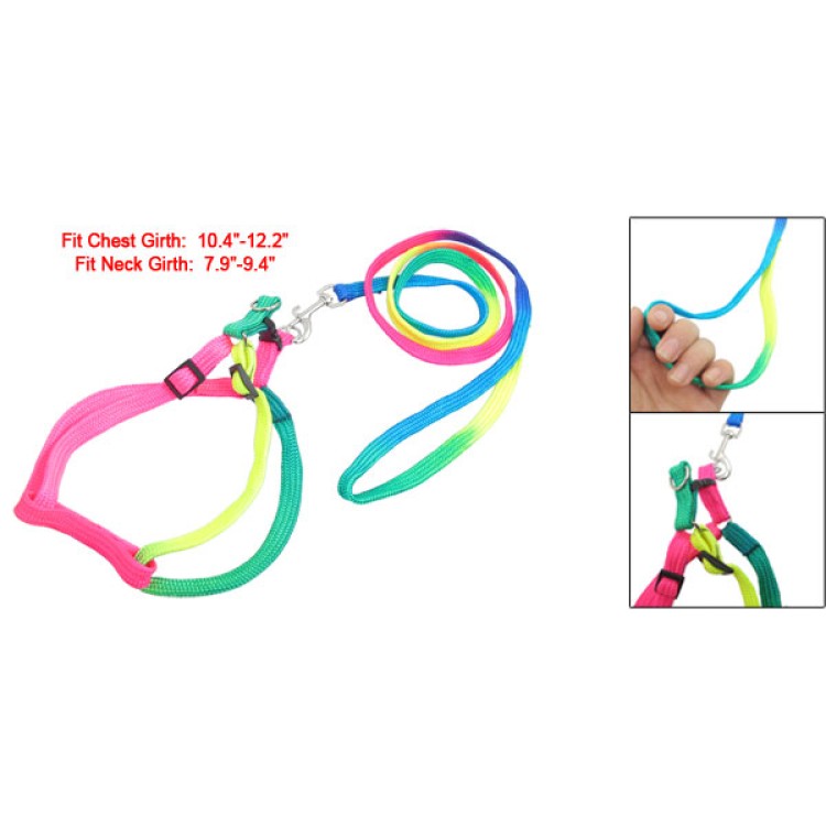 Σαμαράκι ρυθμιζόμενο για μικρομεσαία σκυλιά πολύχρωμο