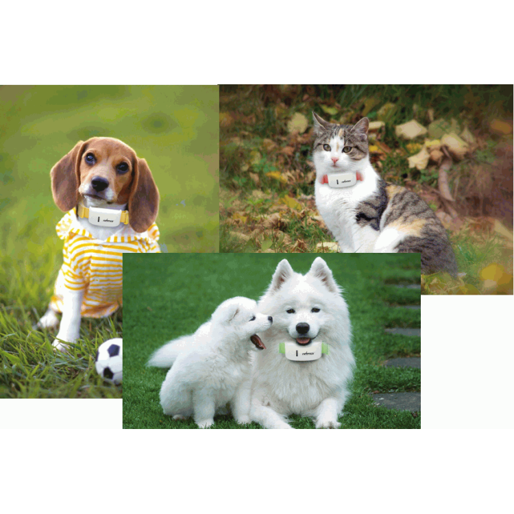 GPS GSM Pet Tracker εντοπισμού σε πραγματικό χρόνο