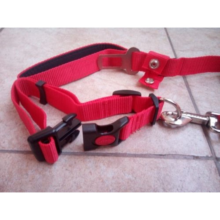 Ρυθμιζόμενο κολάρο με λουρί σκύλου 120cm και Ασφάλεια αυτοκινήτου