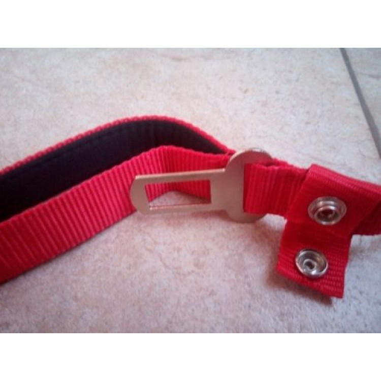 Ρυθμιζόμενο κολάρο με λουρί σκύλου 120cm και Ασφάλεια αυτοκινήτου