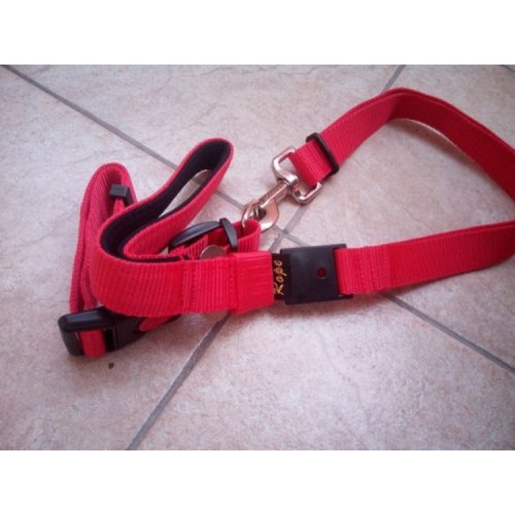 Ρυθμιζόμενο κολάρο με λουρί σκύλου 120cm και Ασφάλεια αυτοκινήτου