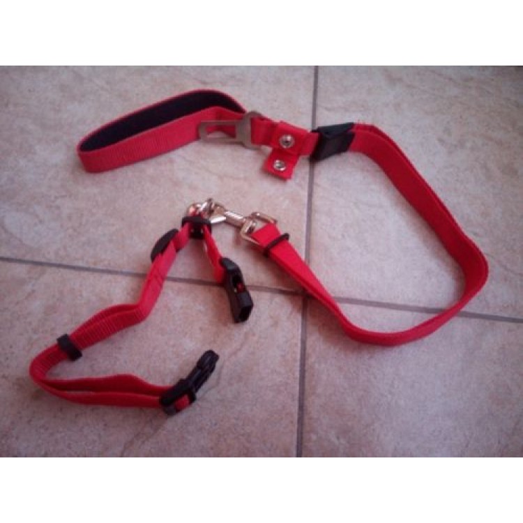 Ρυθμιζόμενο κολάρο με λουρί σκύλου 120cm και Ασφάλεια αυτοκινήτου